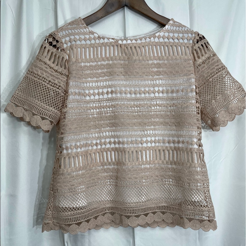 Blush Adiva Short Sleeve Crop Top